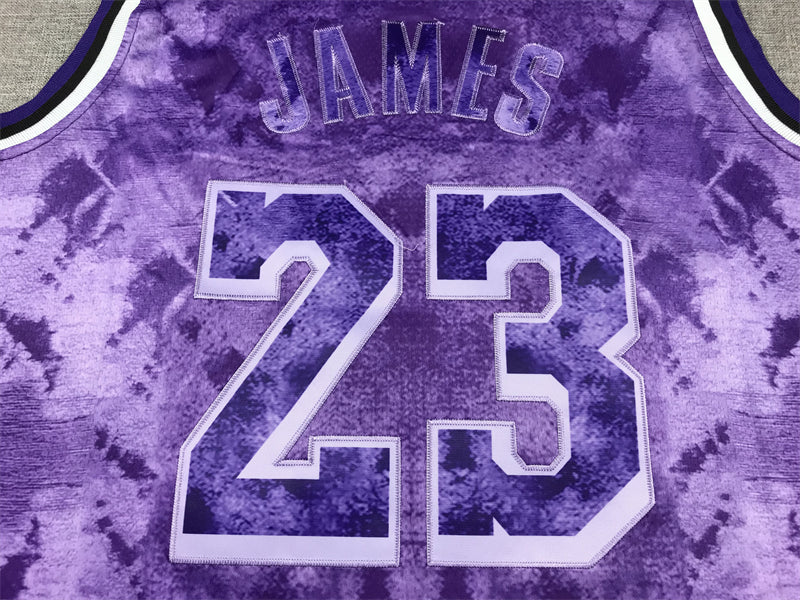 Men's Los Angeles Lakers LeBron James #23 Purple Select Series Swingman Jerseys