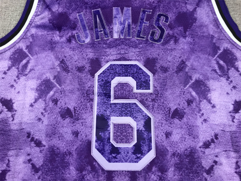 Men's Los Angeles Lakers LeBron James #6 Purple Select Series Swingman Jerseys