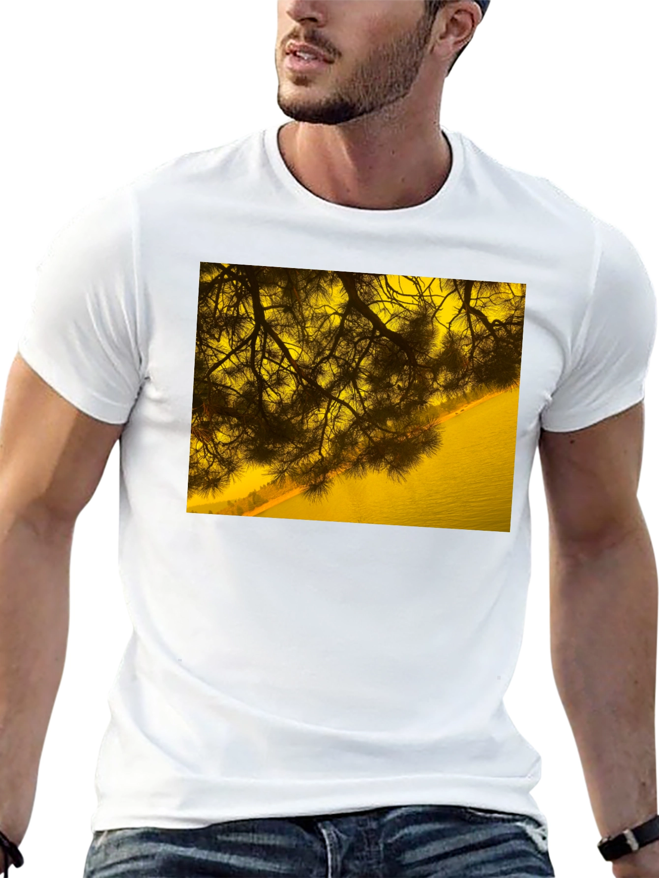Nature Scene Graphic Tee - Black Cotton T-Shirt