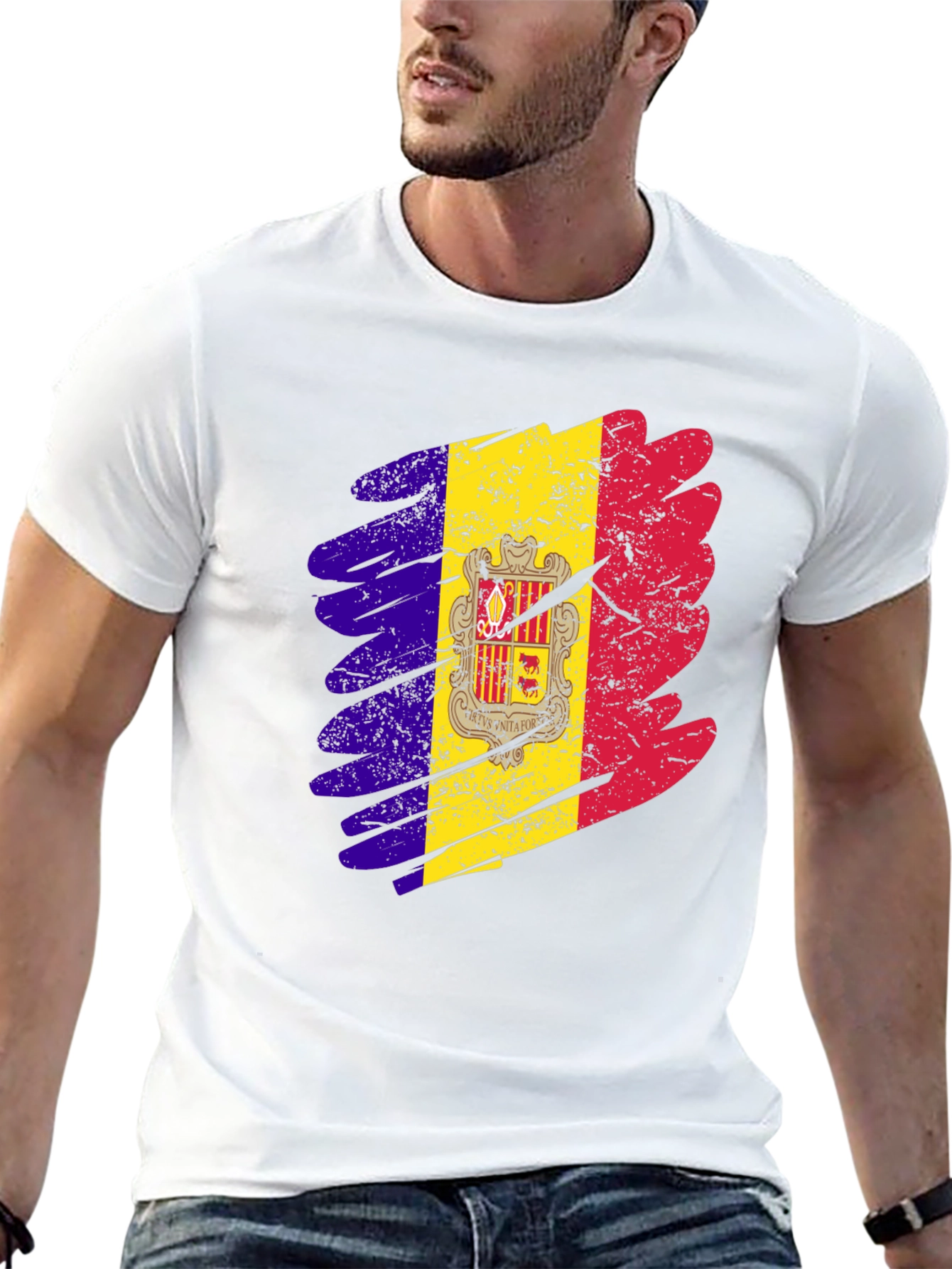 Andorra Flag Graphic Print T-Shirt