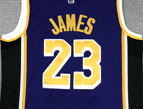 Men's Los Angeles Lakers LeBron James #23 NBA Purple Swingman Jerseys