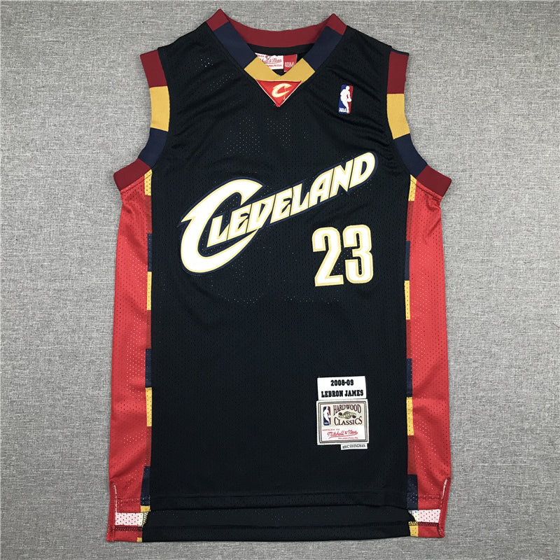 Men's Cleveland Cavaliers LeBron James 2008-09 Hardwood Classics Swingman Jerseys