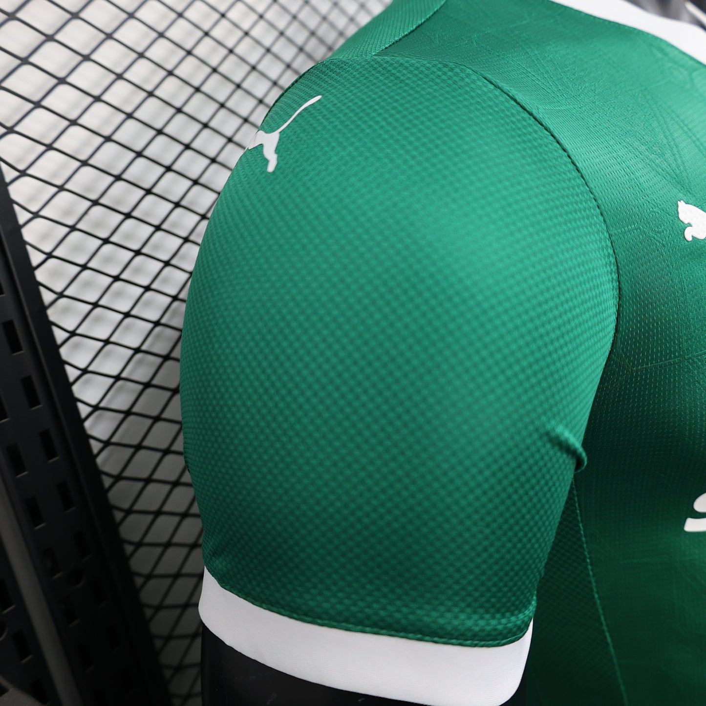 2025-26 Palmeiras Home Player Edition Jersey - Men
