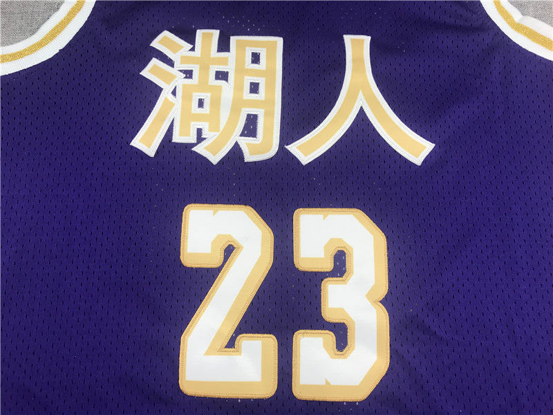 Men's Los Angeles Lakers LeBron James Purple Hardwood Classics Swingman Jerseys
