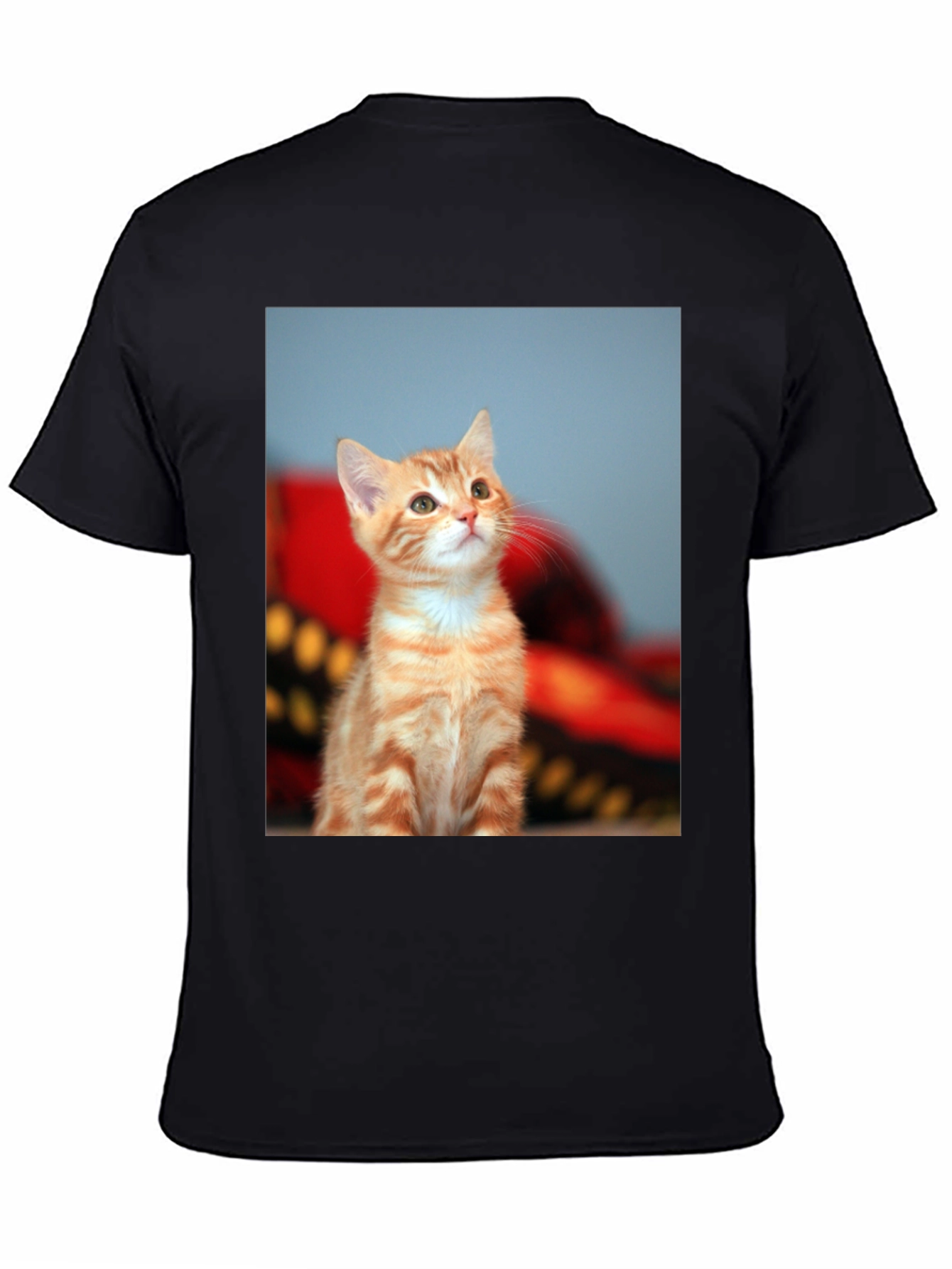 Cute Kitten Graphic Tee - Unisex Black T-Shirt