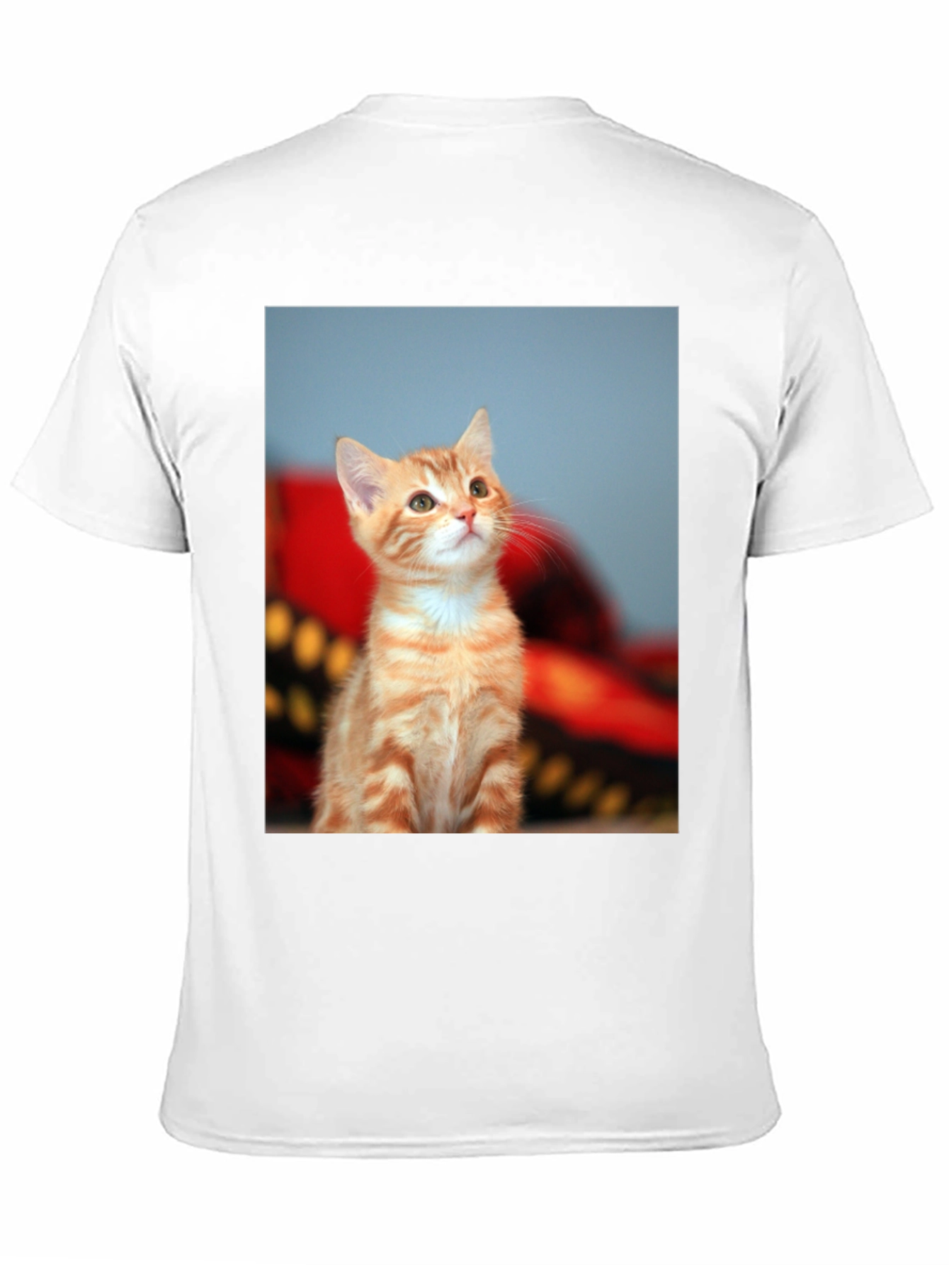 Cute Kitten Graphic Tee - Unisex Black T-Shirt