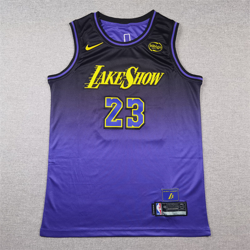 Men's Los Angeles Lakers LeBron James #23 Purple 2024/25 Swingman Jerseys - City Edition