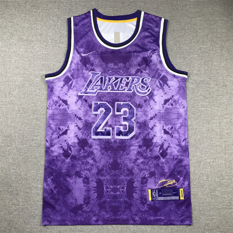 Men's Los Angeles Lakers LeBron James #23 Purple Select Series Swingman Jerseys