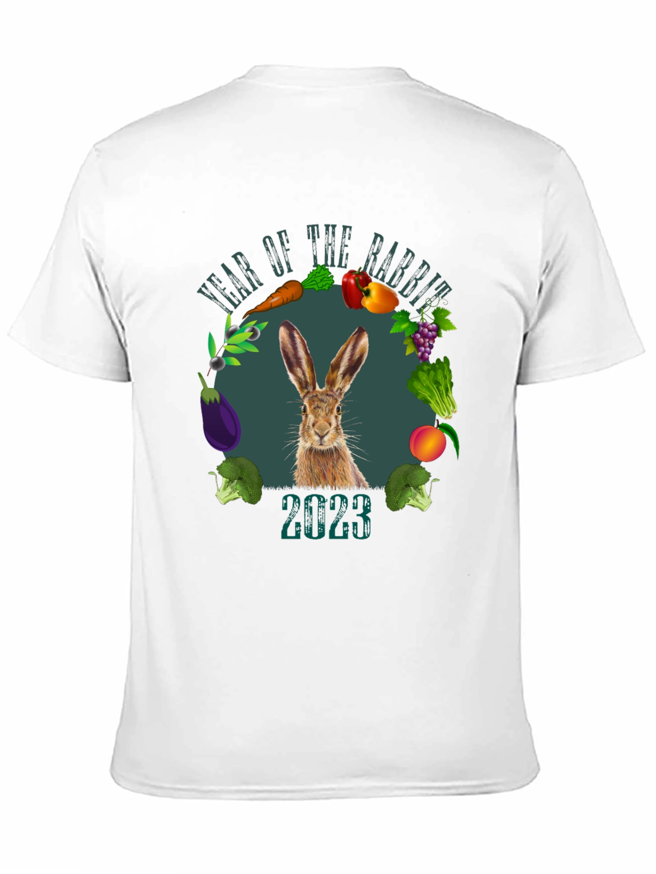 Year of the Rabbit 2023 Graphic T-Shirt
