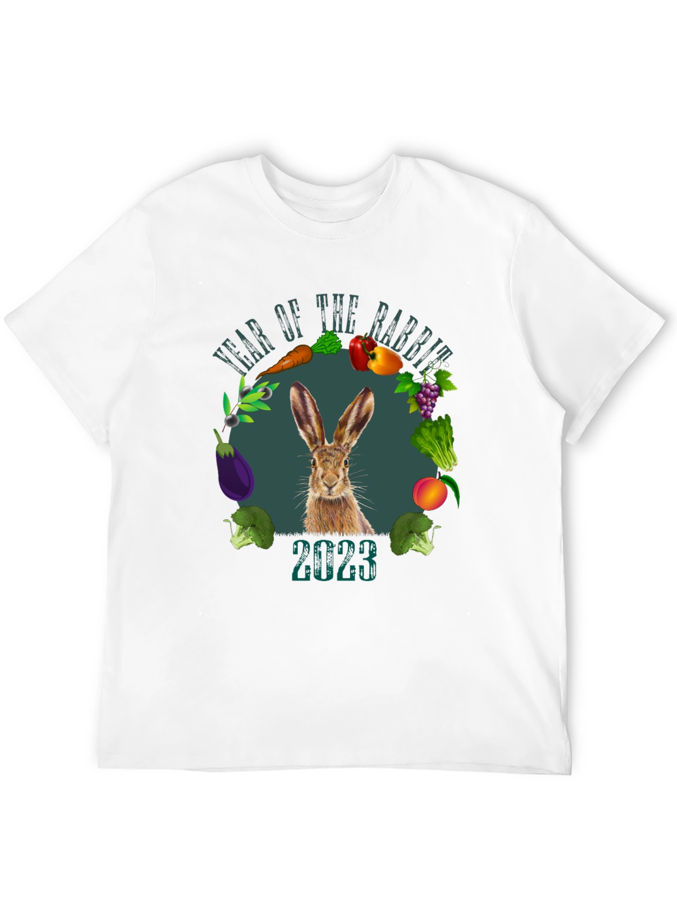 Year of the Rabbit 2023 Graphic T-Shirt