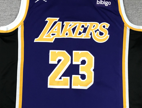 Men's Los Angeles Lakers LeBron James #23 NBA Purple Swingman Jerseys