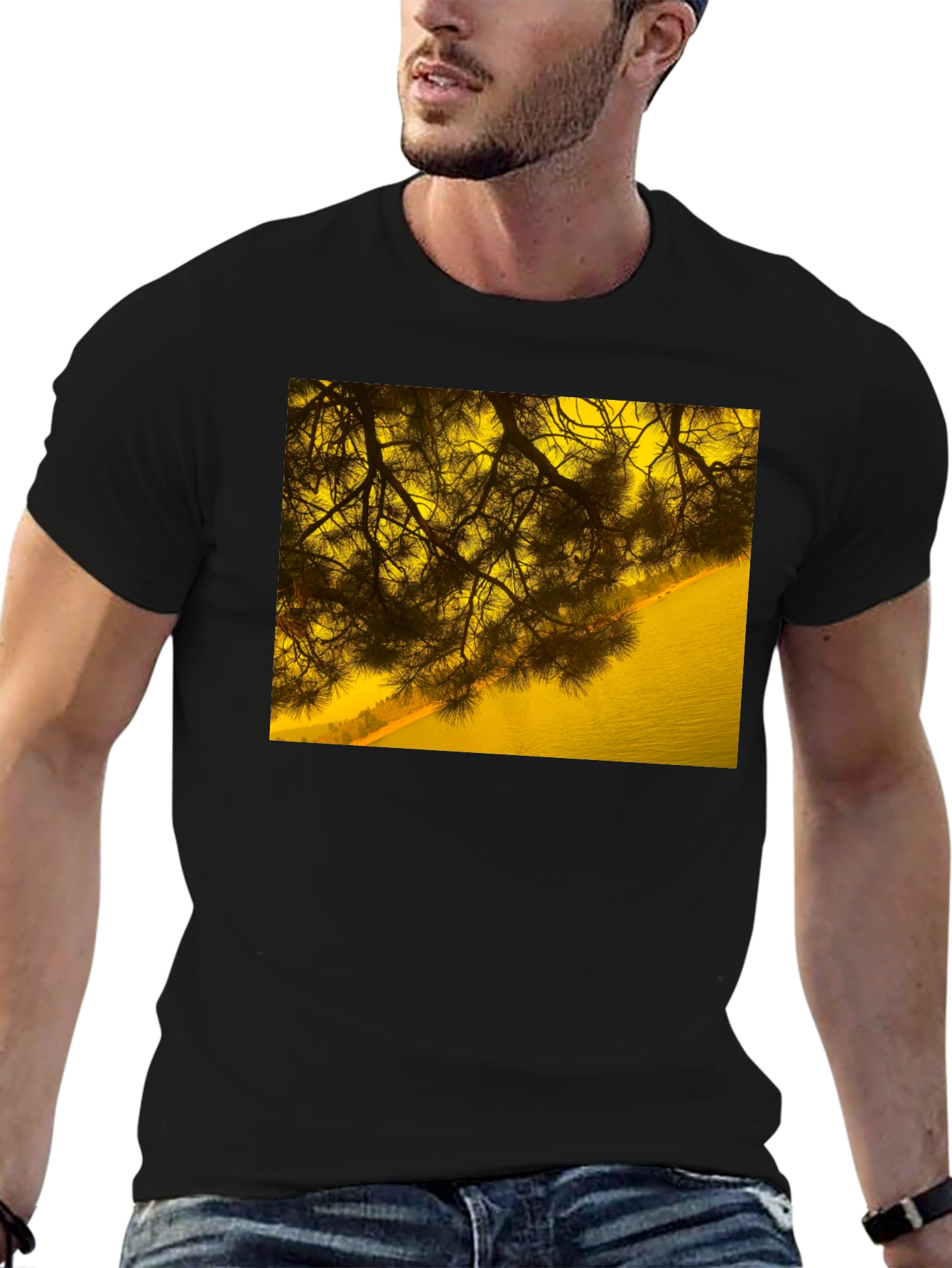 Nature Scene Graphic Tee - Black Cotton T-Shirt