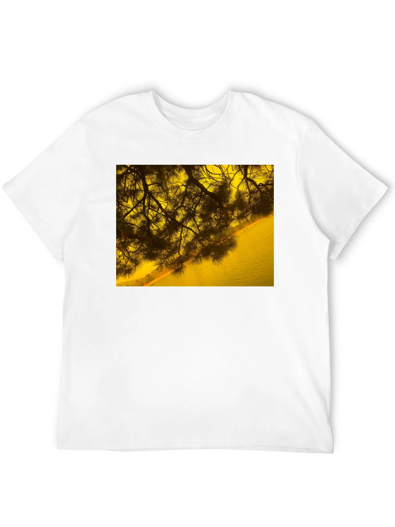 Nature Scene Graphic Tee - Black Cotton T-Shirt