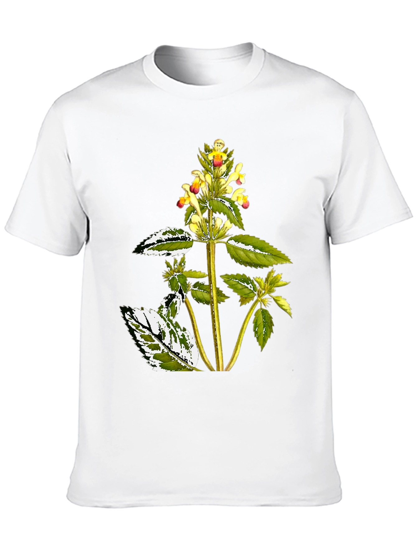 Botanical Graphic Black Tee