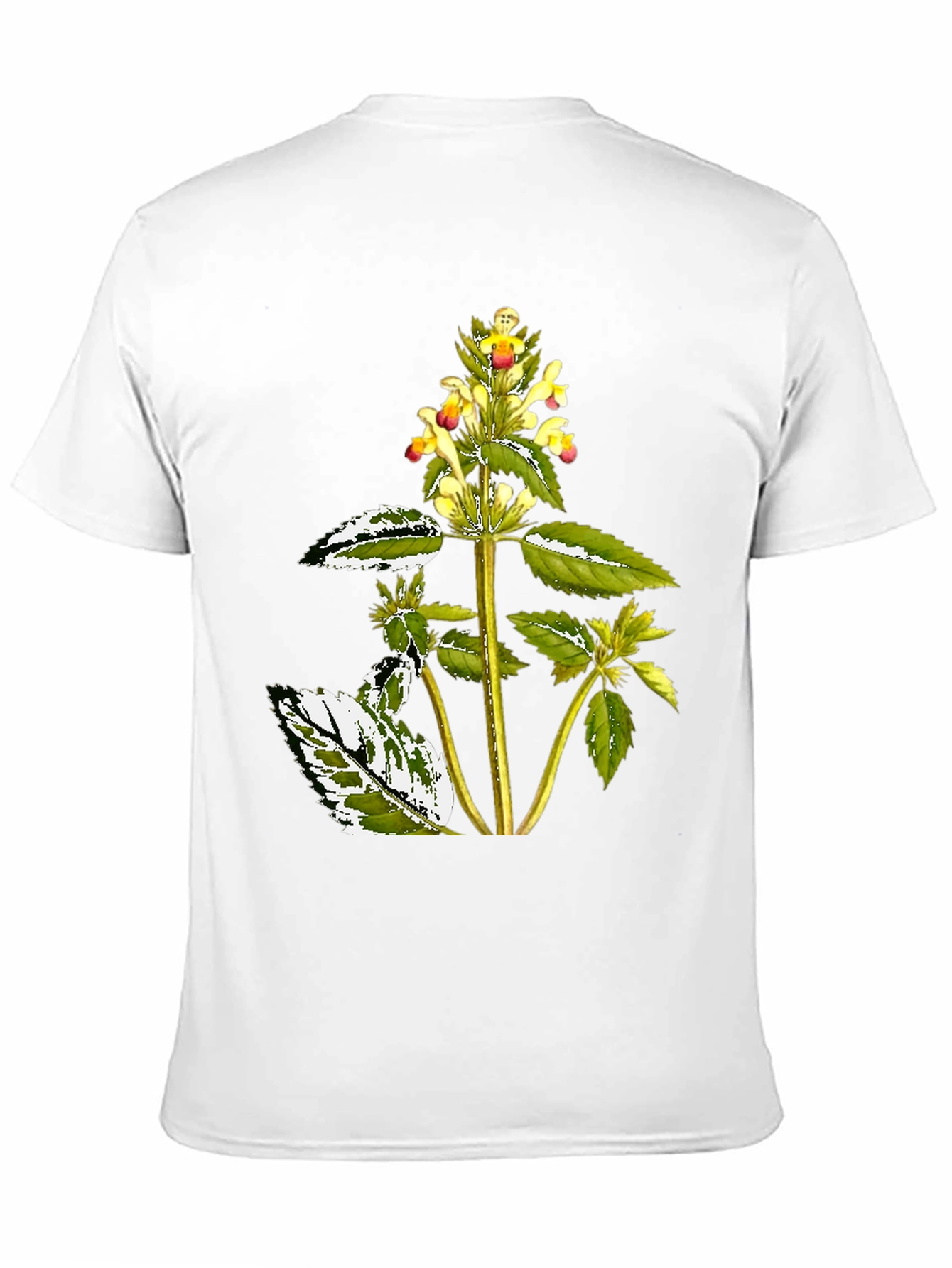 Botanical Graphic Black Tee
