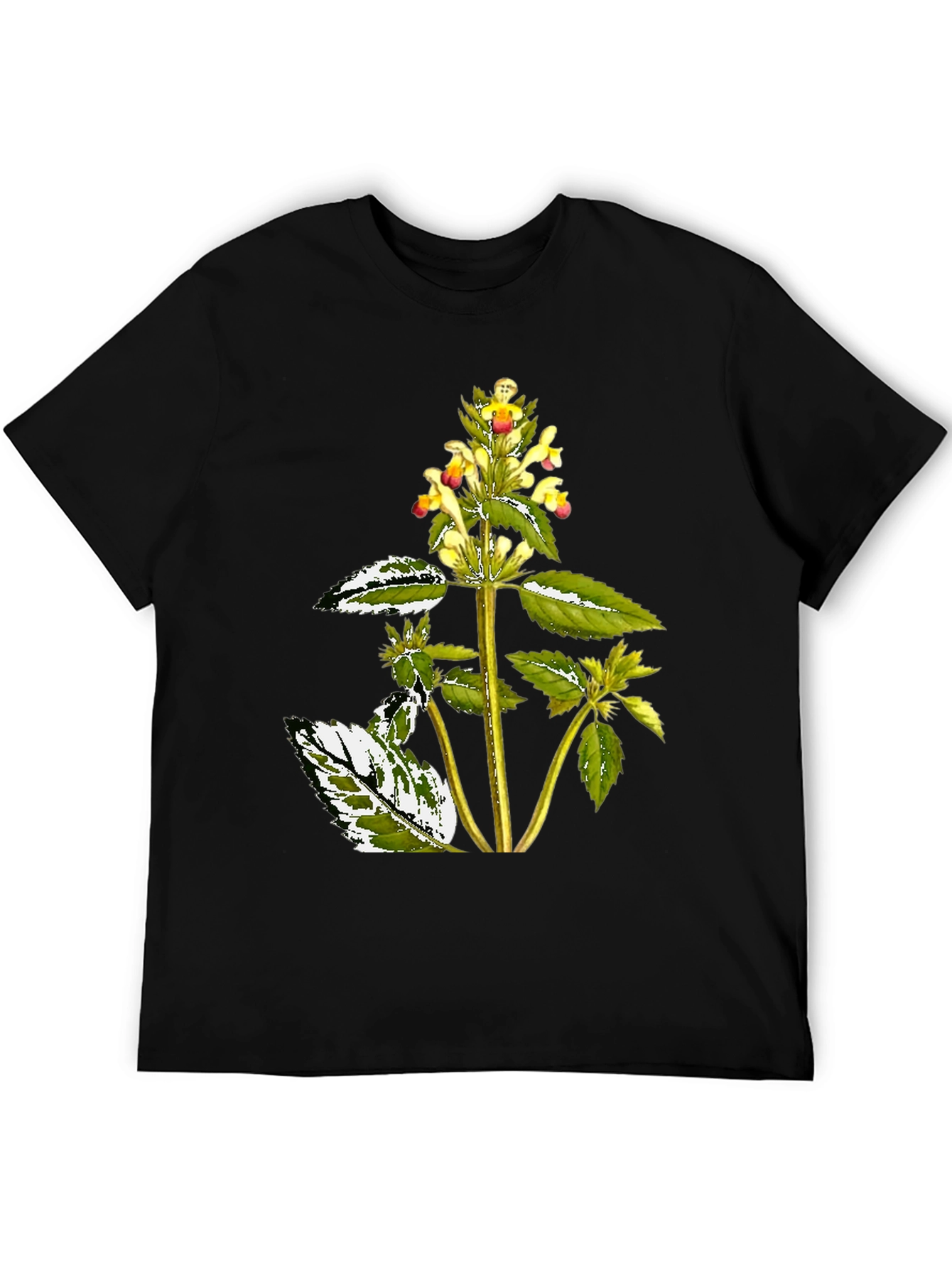 Botanical Graphic Black Tee