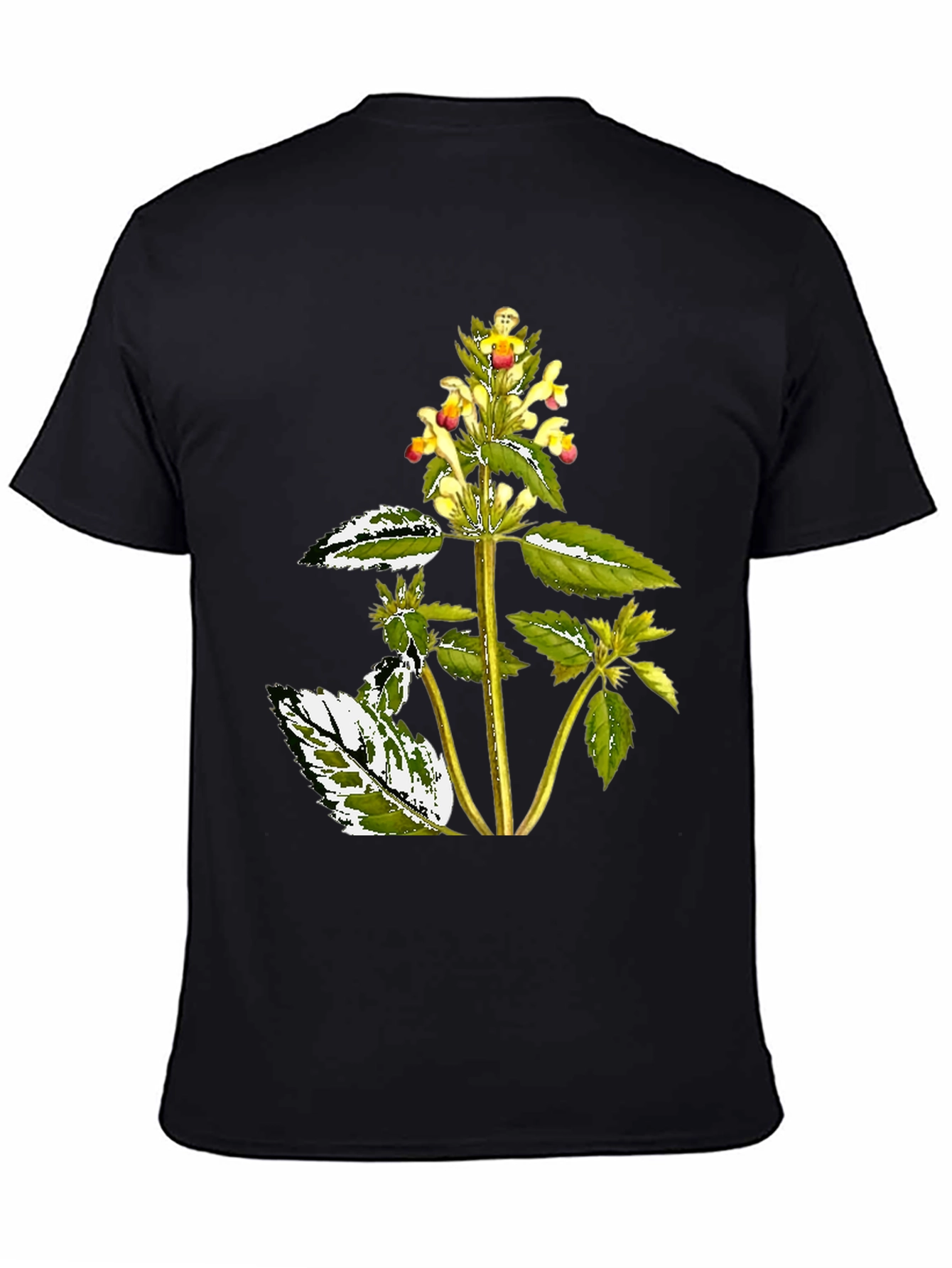 Botanical Graphic Black Tee