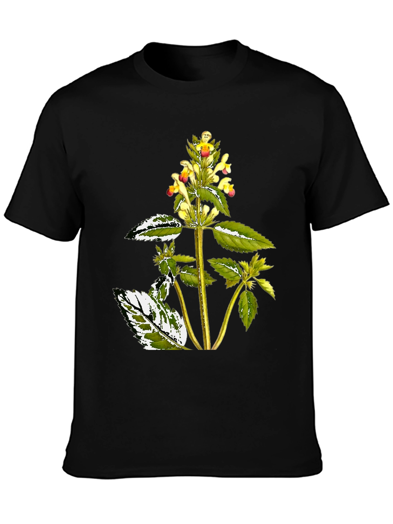 Botanical Graphic Black Tee