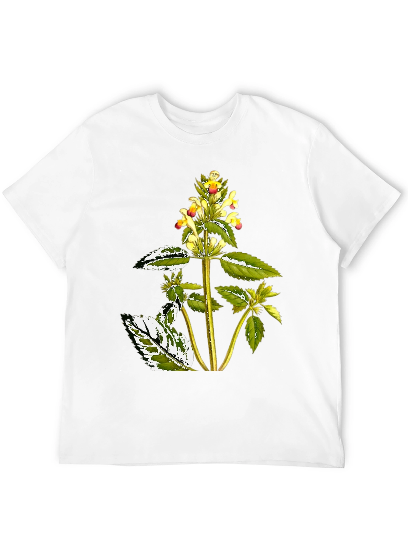 Botanical Graphic Black Tee