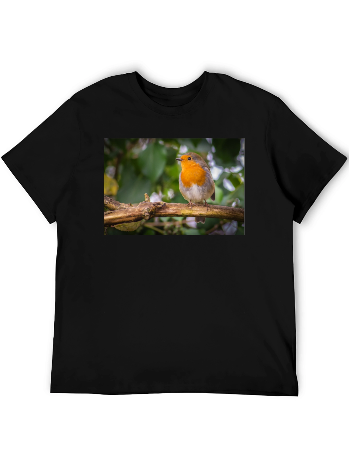 Robin Bird Black T-Shirt Nature Lover Gift