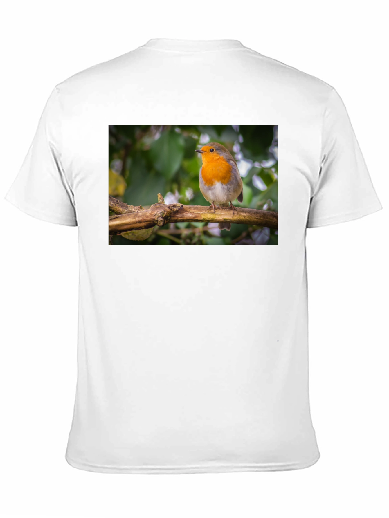 Robin Bird Black T-Shirt Nature Lover Gift