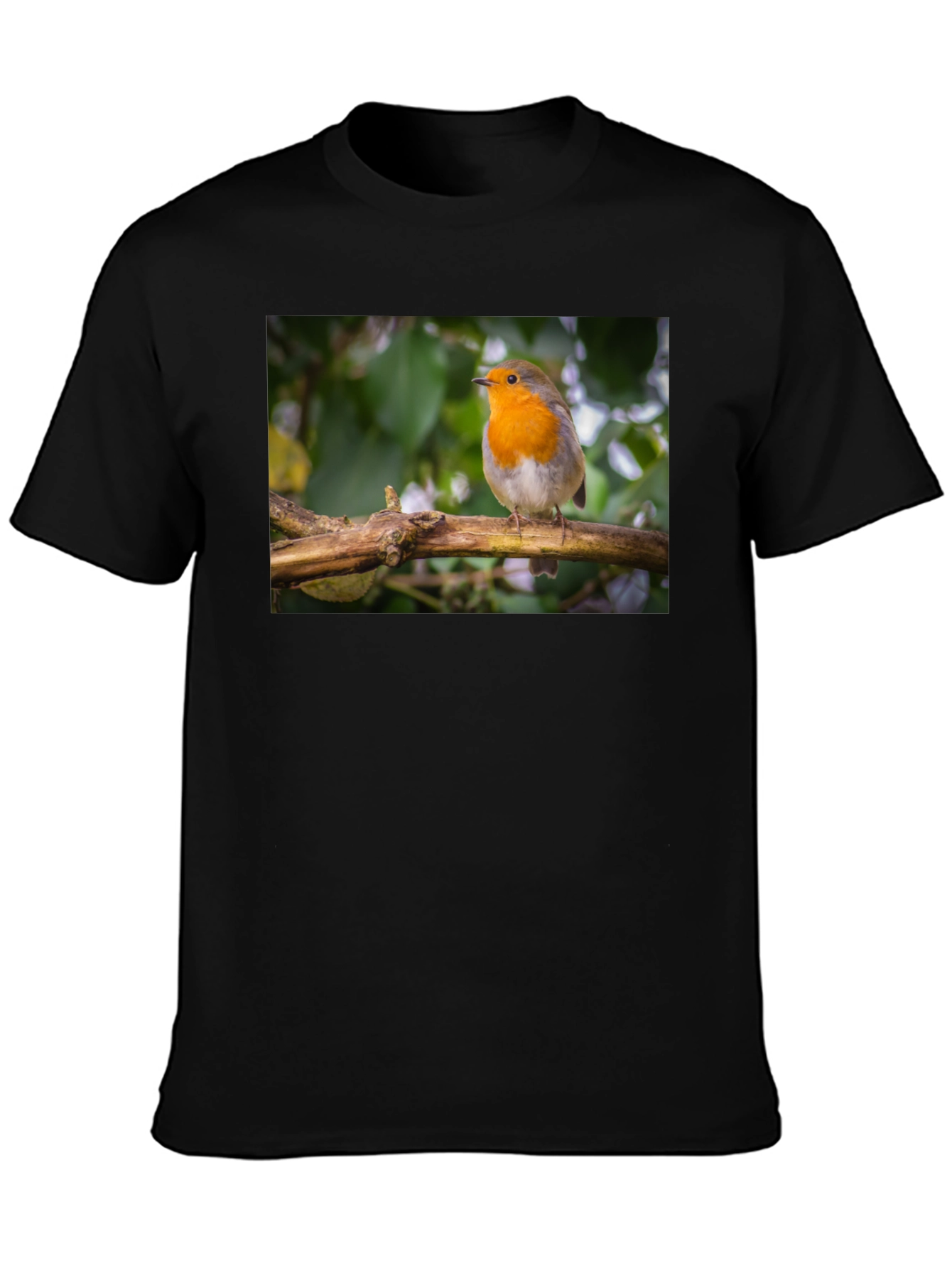 Robin Bird Black T-Shirt Nature Lover Gift