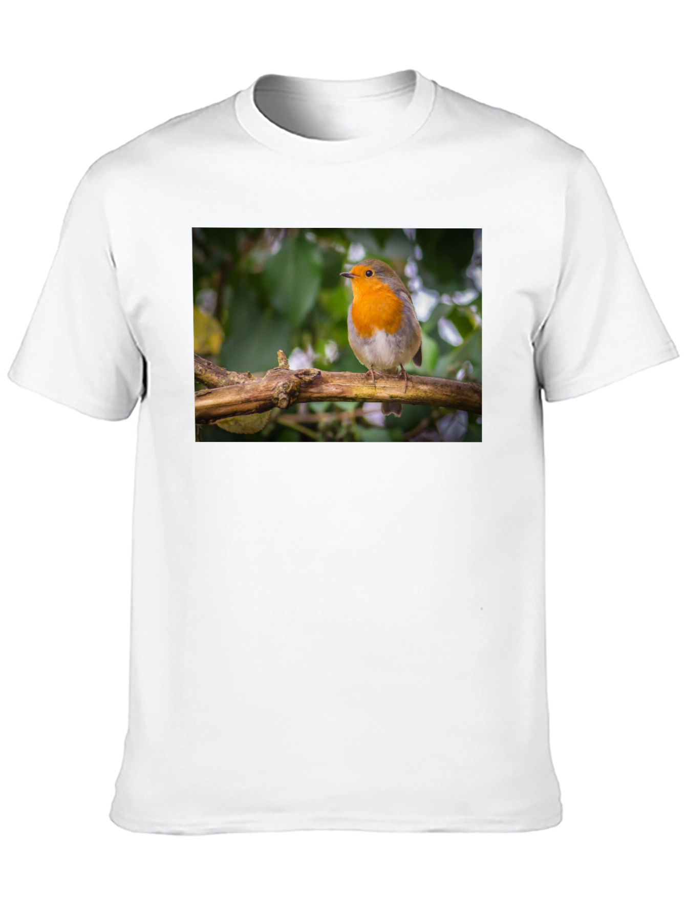 Robin Bird Black T-Shirt Nature Lover Gift