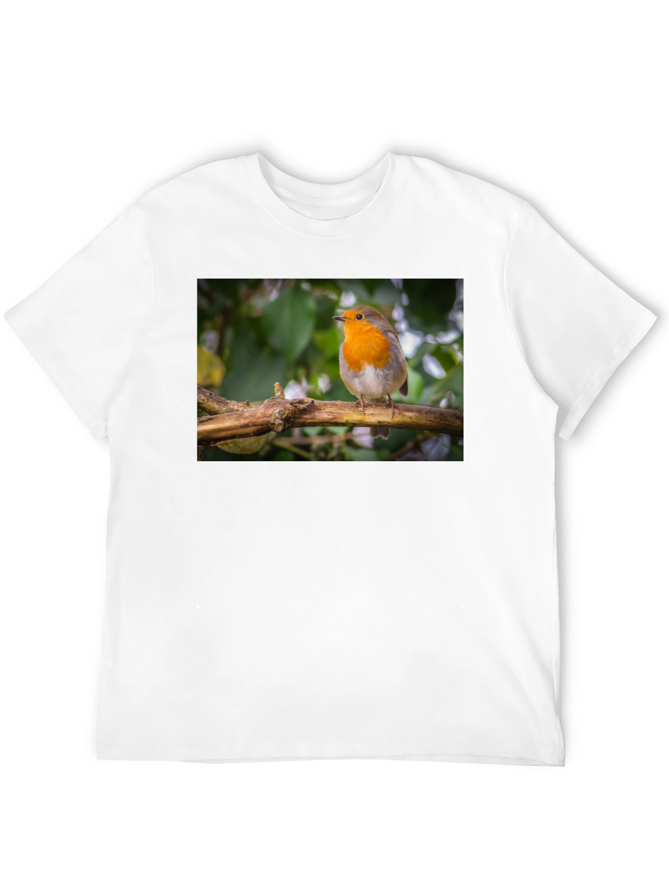 Robin Bird Black T-Shirt Nature Lover Gift