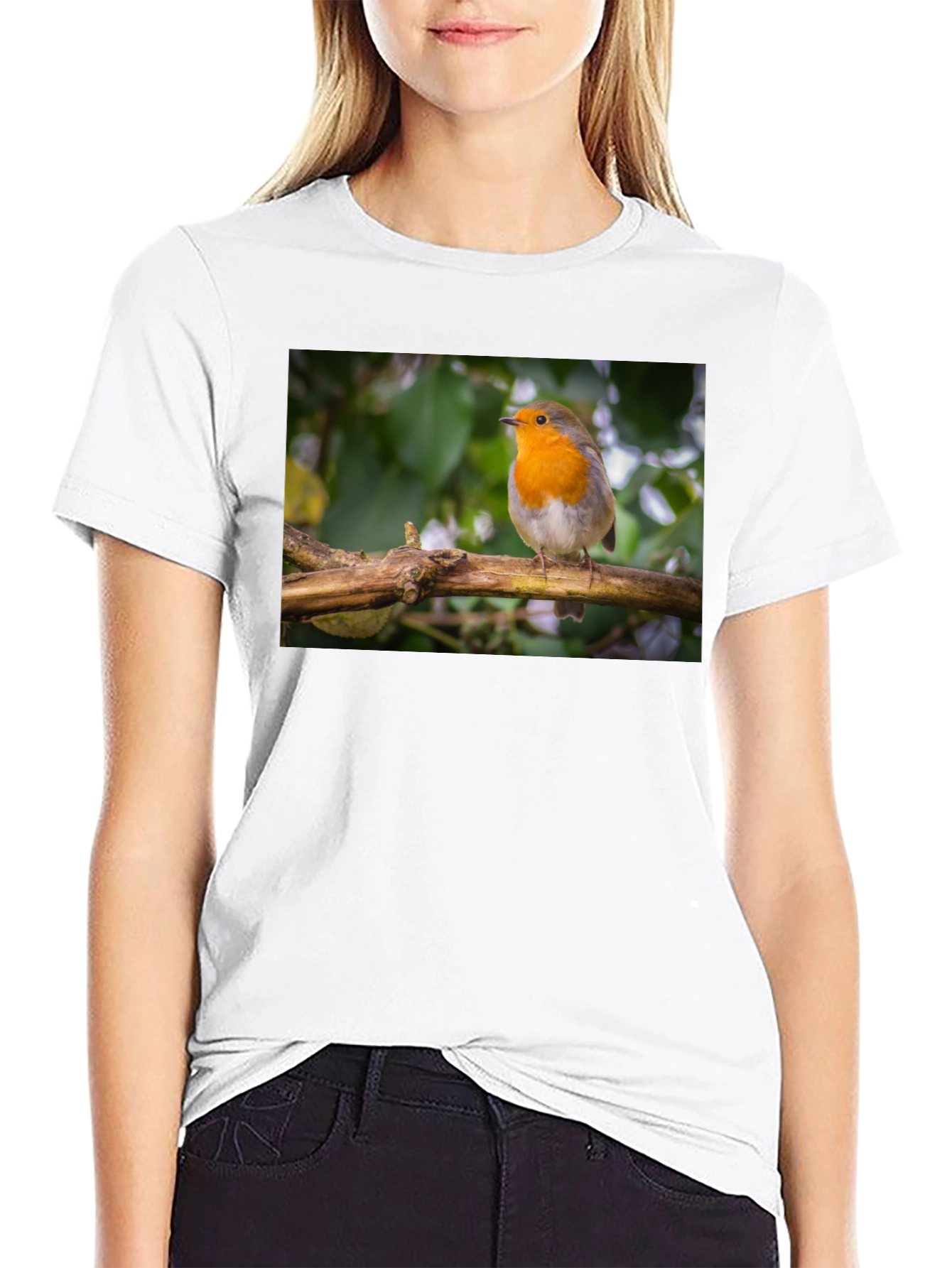Robin Bird Black T-Shirt Nature Lover Gift