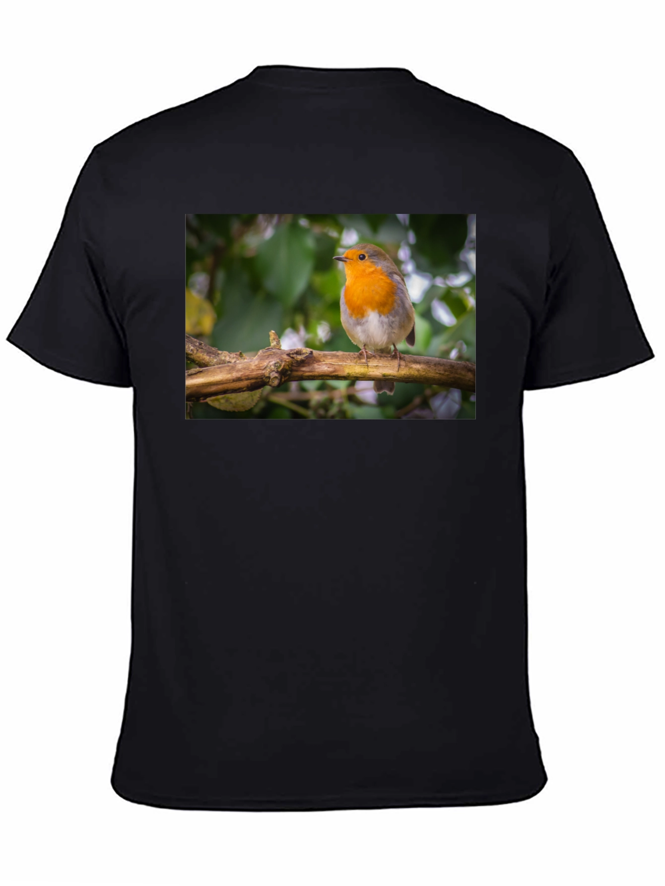 Robin Bird Black T-Shirt Nature Lover Gift