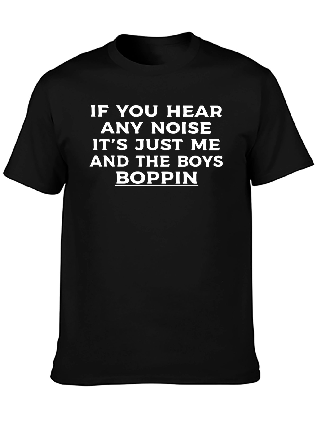 If You Hear Any Noise Funny T-Shirt