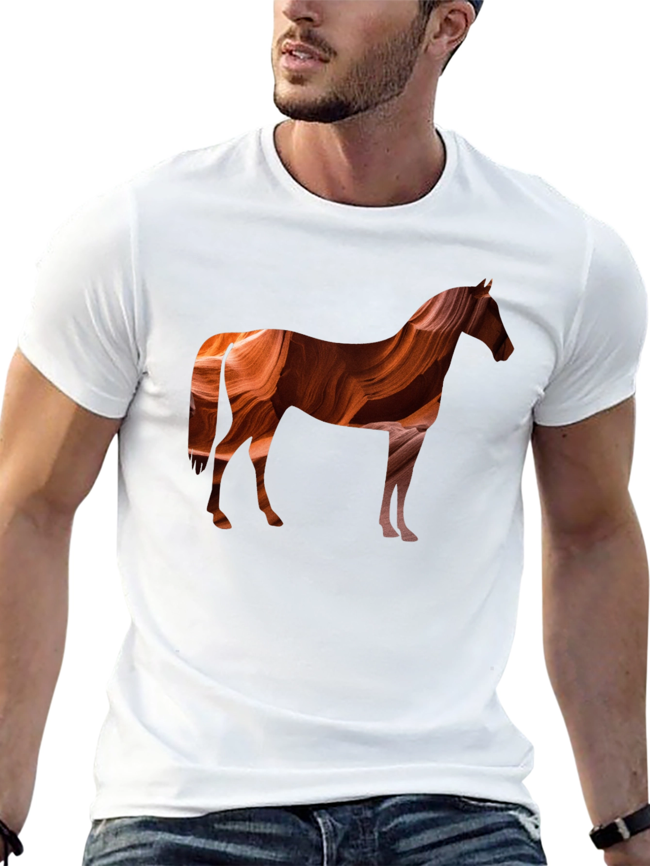 Abstract Canyon Horse Graphic Tee