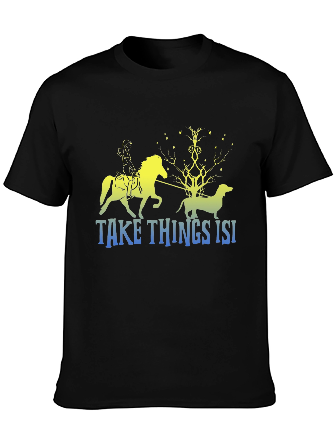 Take Things ISI Black T-Shirt