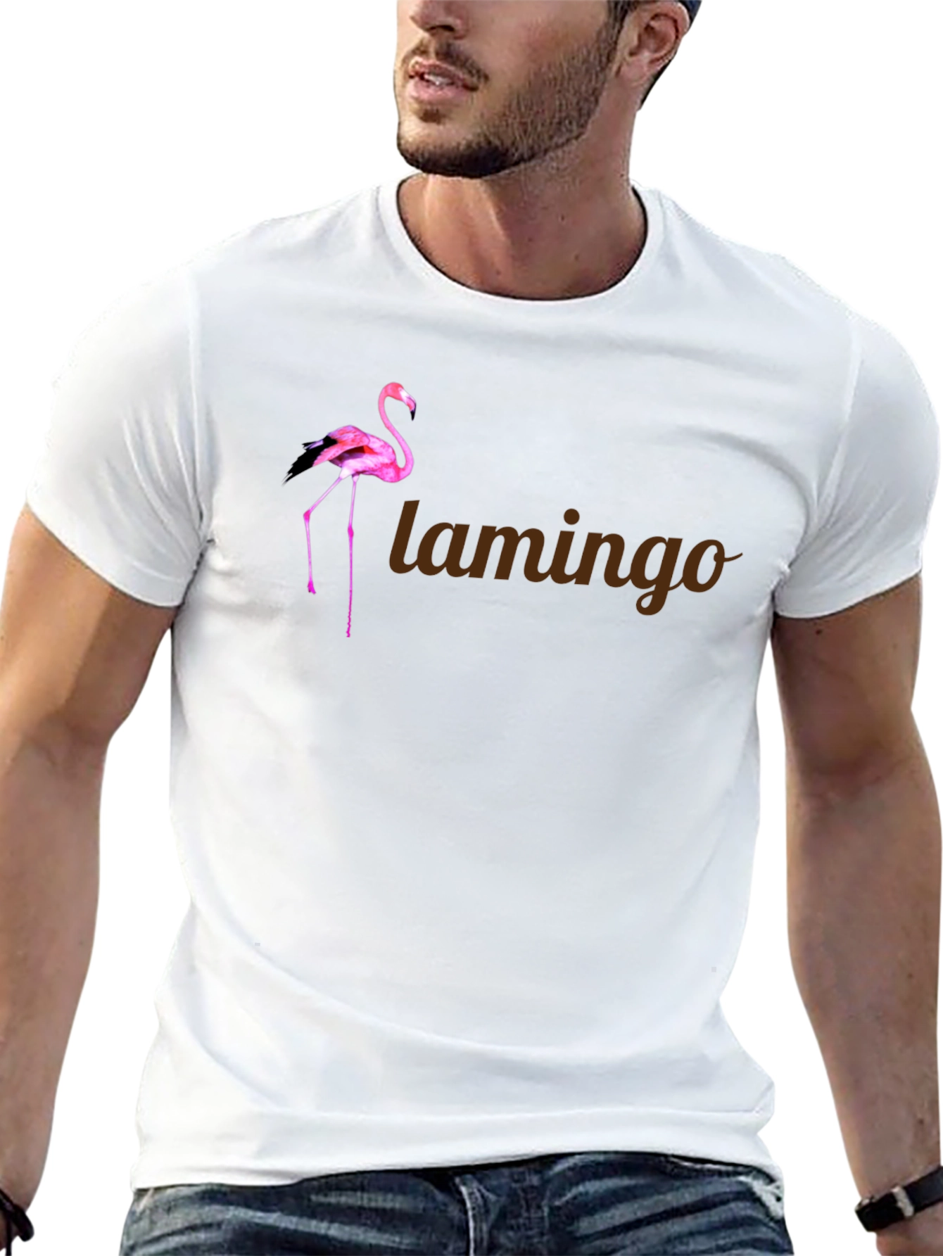Flamingo Graphic Tee - Stylish Mens Black T-Shirt