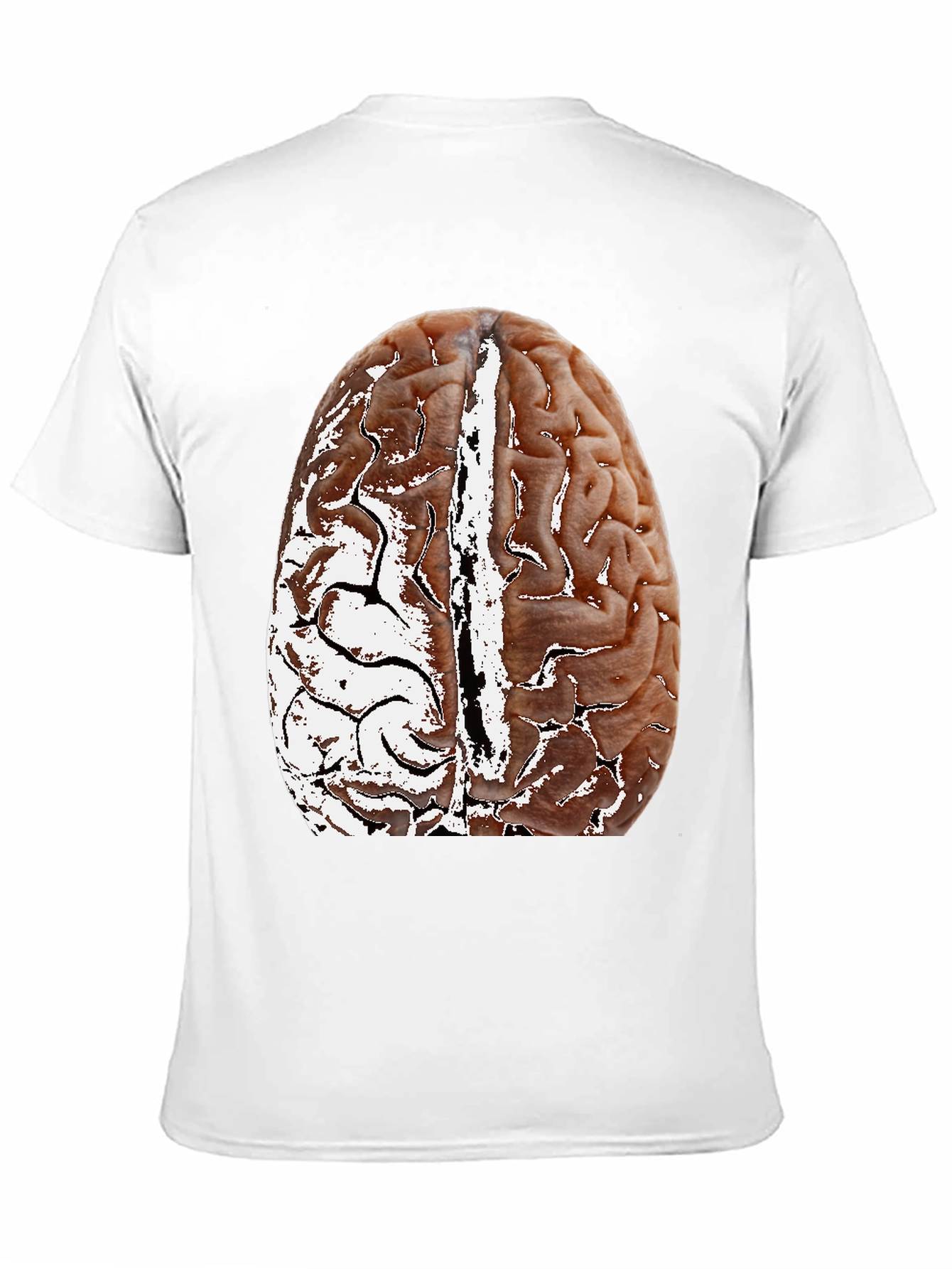 Brain Graphic Black T-Shirt - Anatomical Design