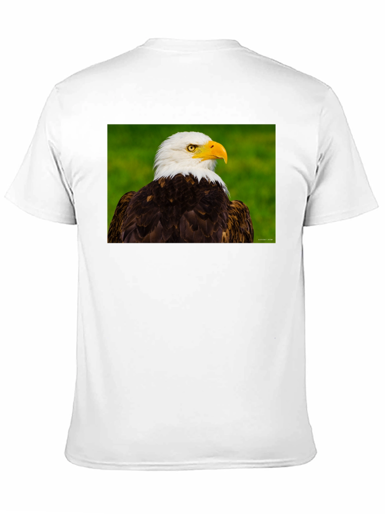 Bald Eagle Graphic Tee - Black Crew Neck
