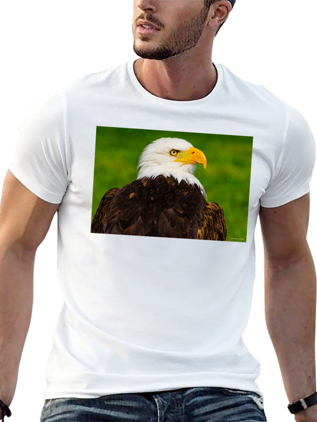 Bald Eagle Graphic Tee - Black Crew Neck