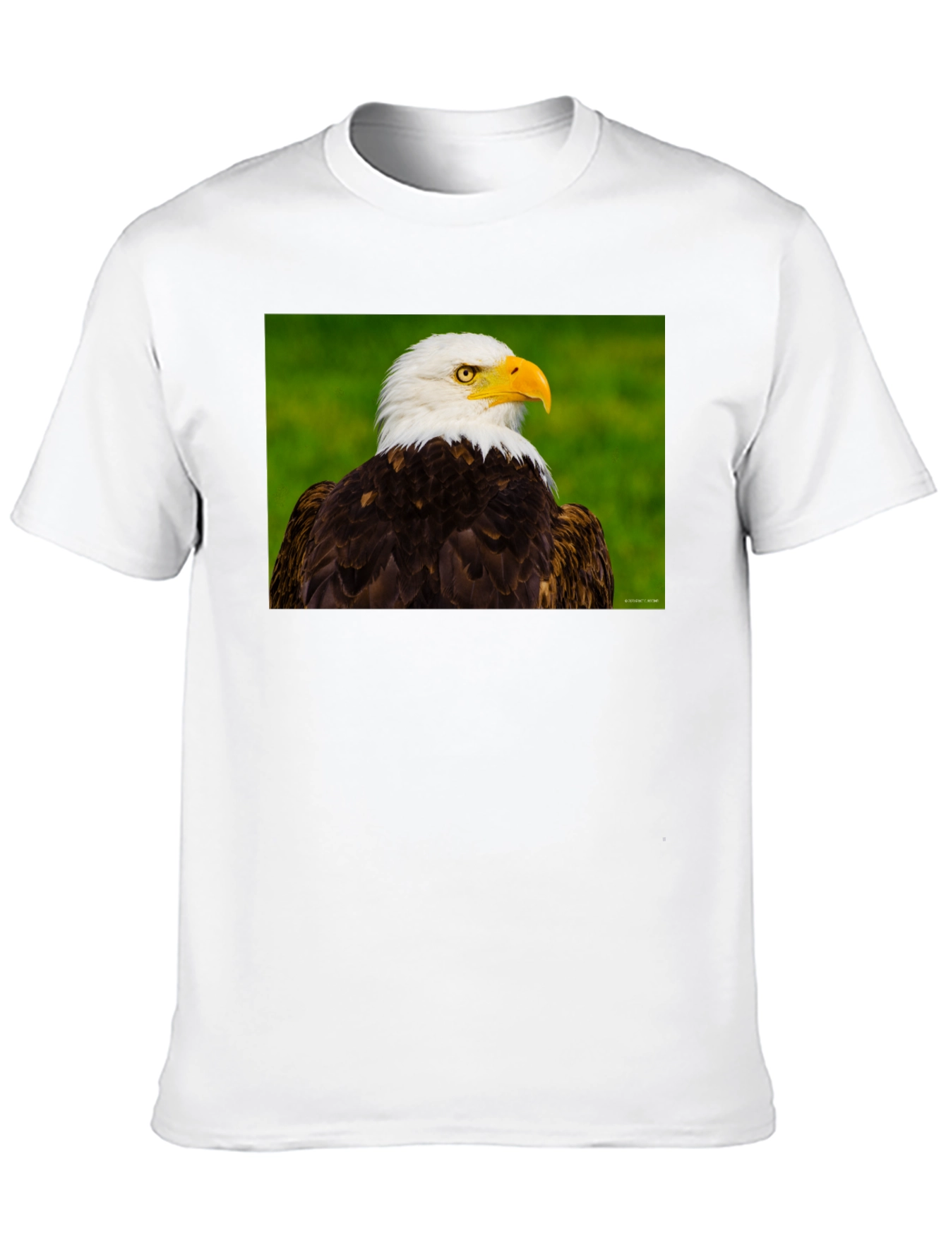 Bald Eagle Graphic Tee - Black Crew Neck