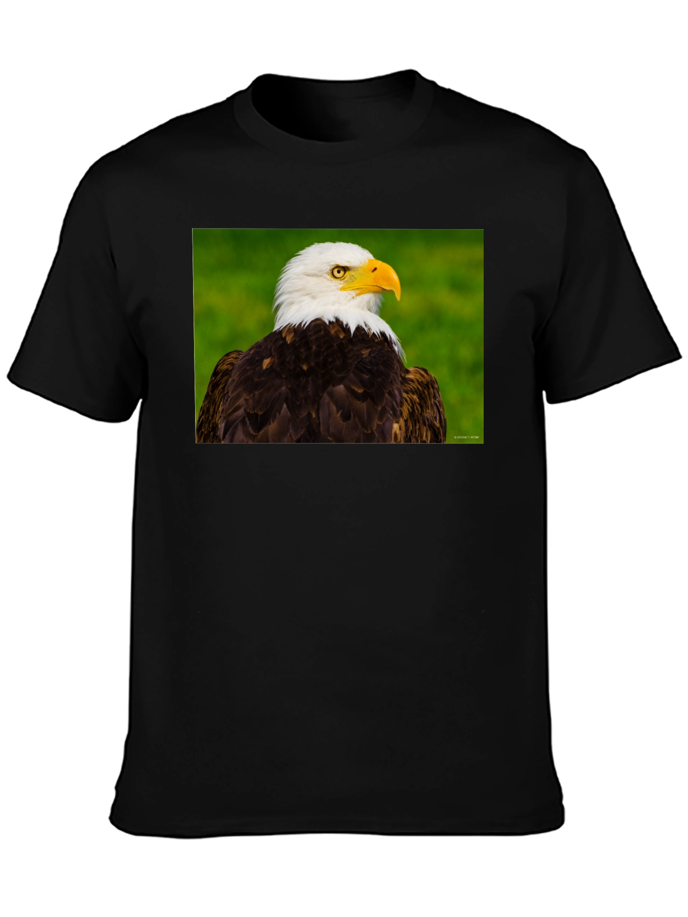 Bald Eagle Graphic Tee - Black Crew Neck