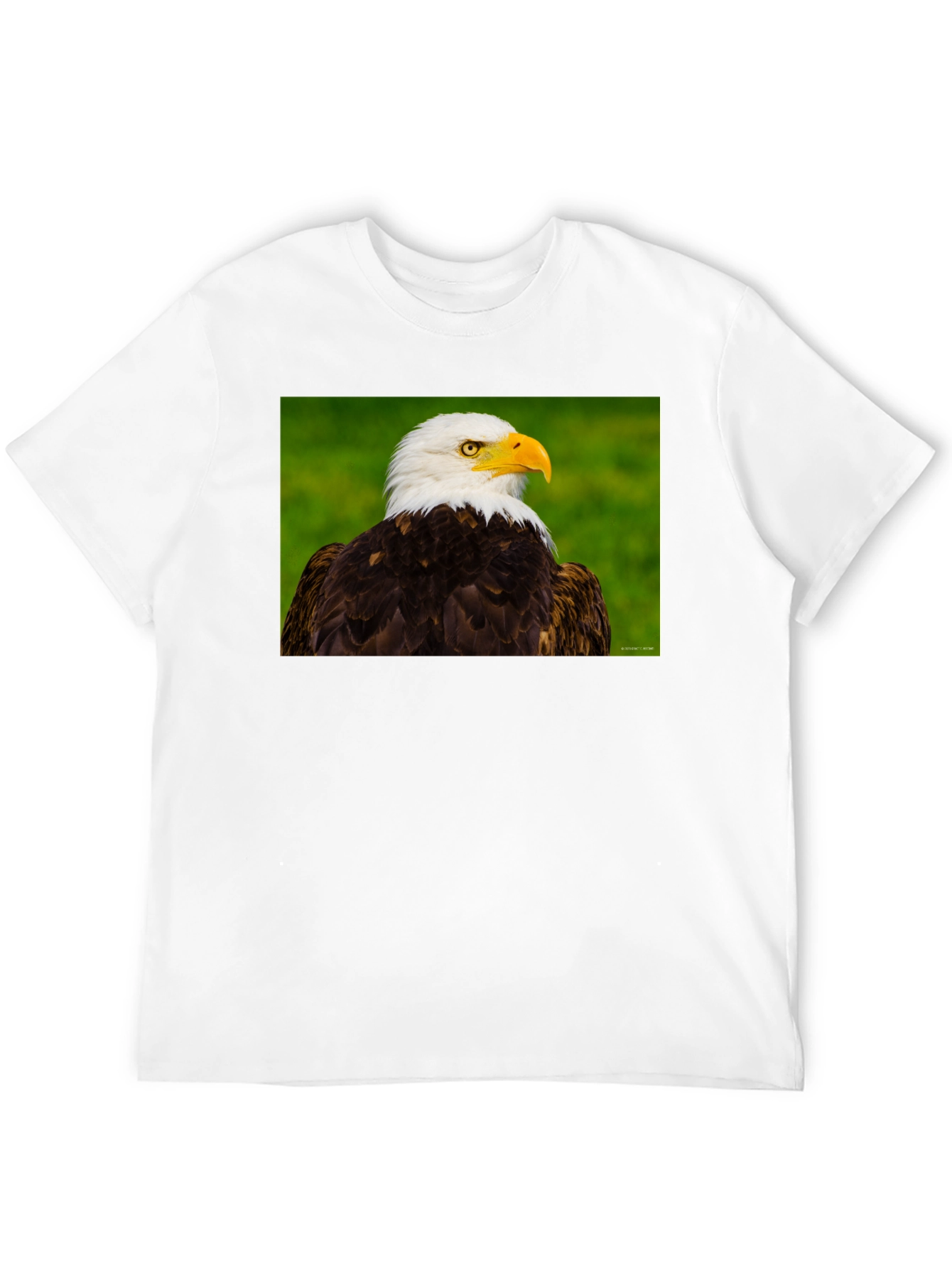 Bald Eagle Graphic Tee - Black Crew Neck