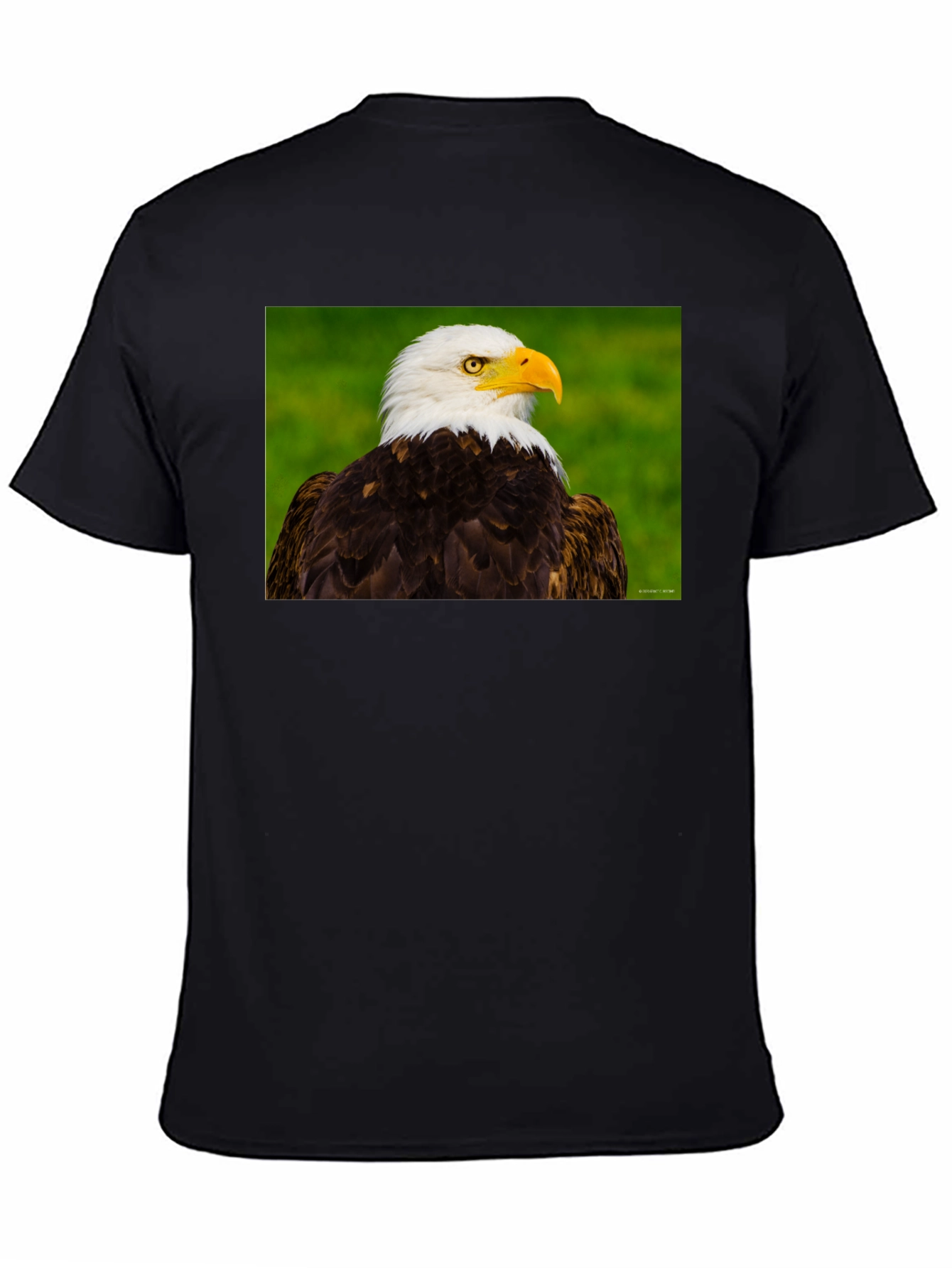 Bald Eagle Graphic Tee - Black Crew Neck
