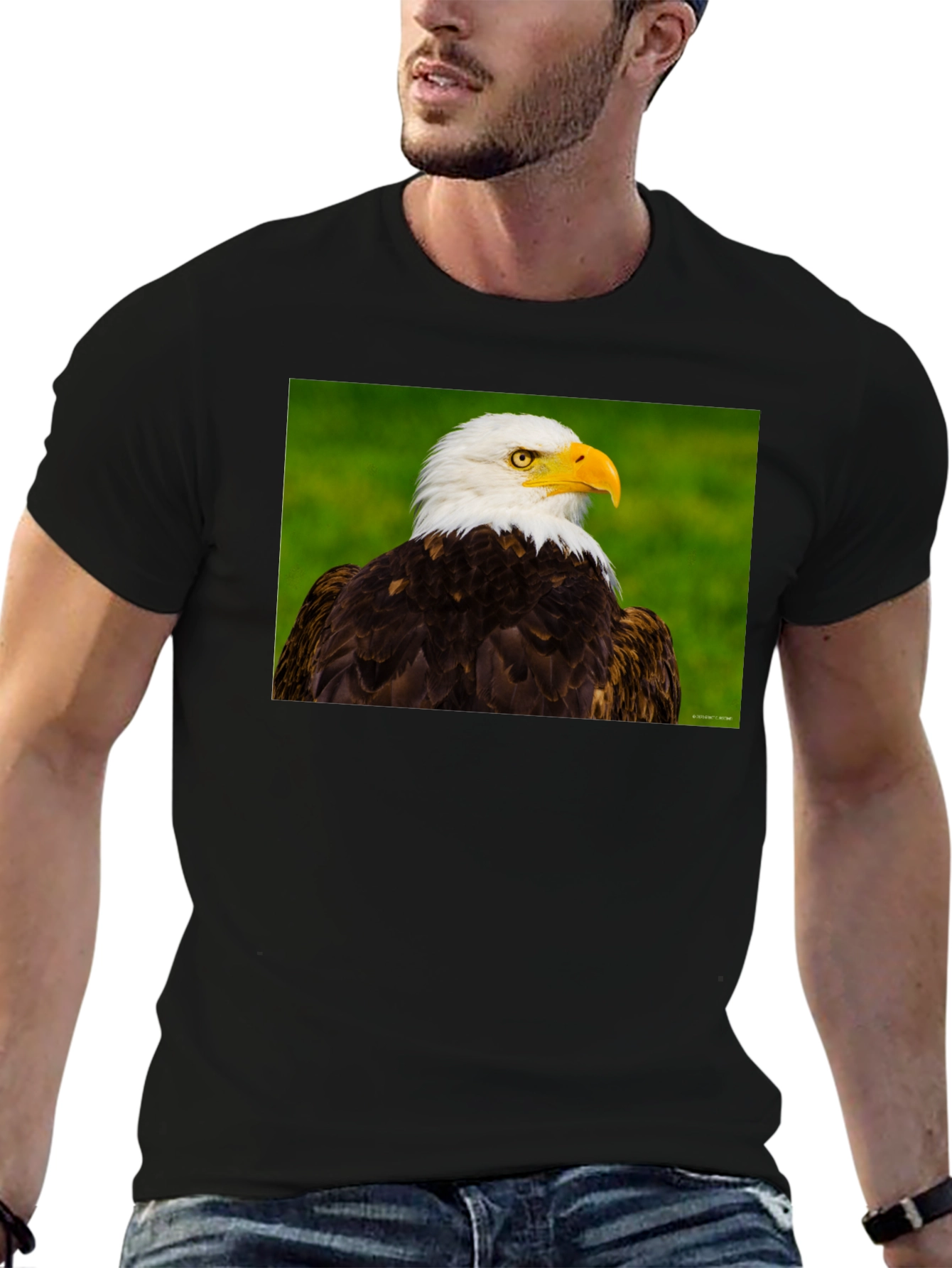 Bald Eagle Graphic Tee - Black Crew Neck