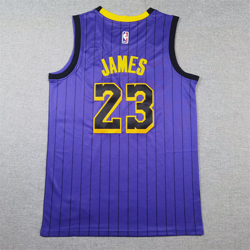 Men's Los Angeles Lakers LeBron James #23 Purple Swingman Jerseys - City Edition