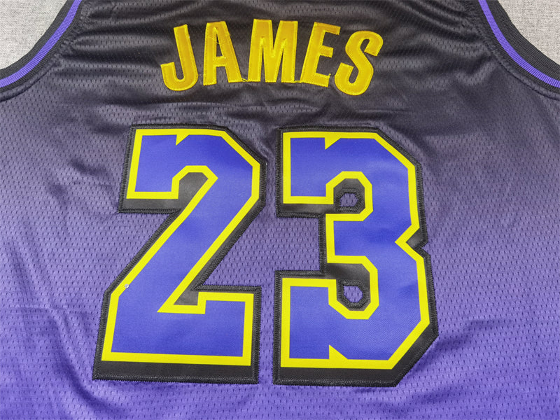 Men's Los Angeles Lakers LeBron James #23 Purple 2024/25 Swingman Jerseys - City Edition