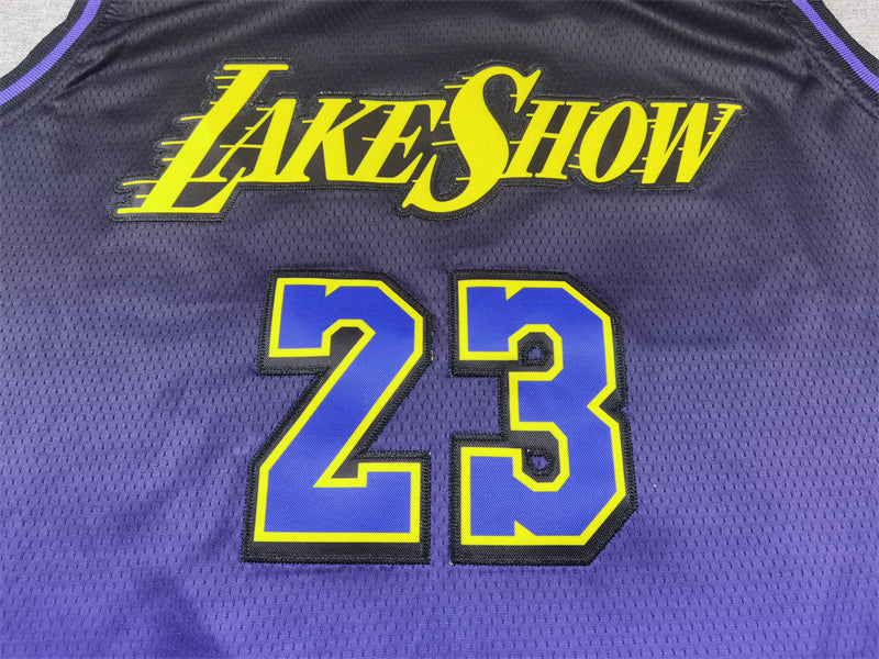 Men's Los Angeles Lakers LeBron James #23 Purple 2024/25 Swingman Jerseys - City Edition