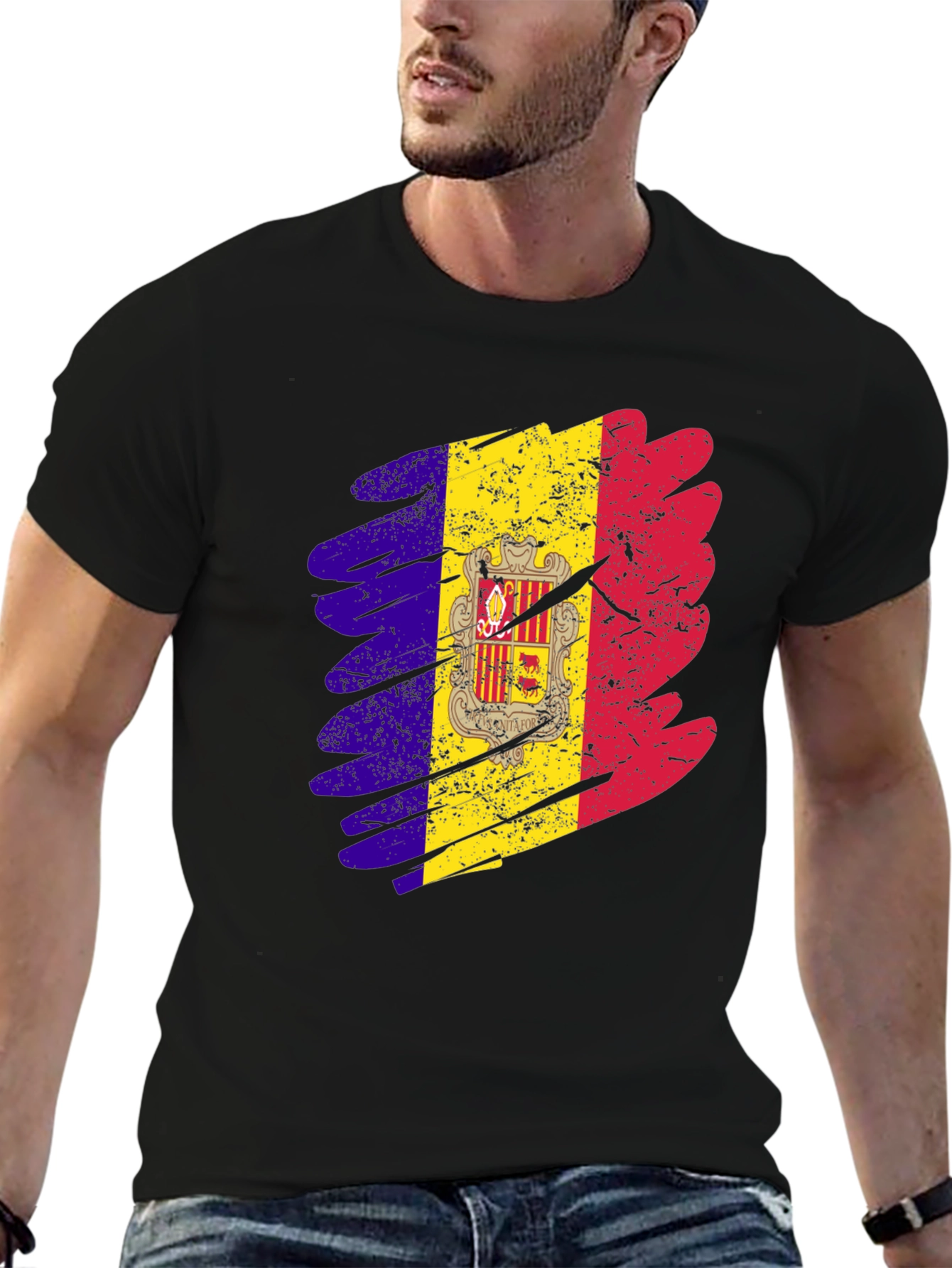 Andorra Flag Graphic Print T-Shirt