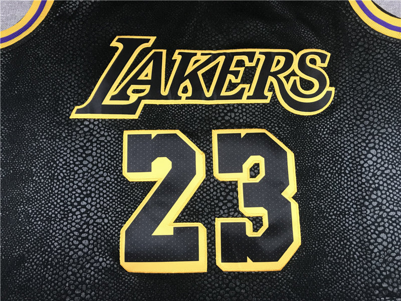 Men's Los Angeles Lakers Lebron James #23 Final Path Jerseys Stitched