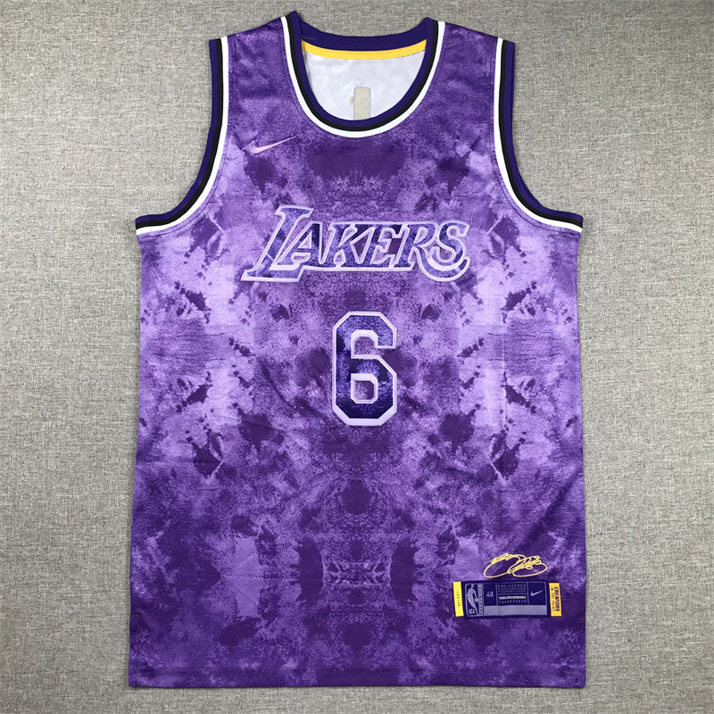 Men's Los Angeles Lakers LeBron James #6 Purple Select Series Swingman Jerseys