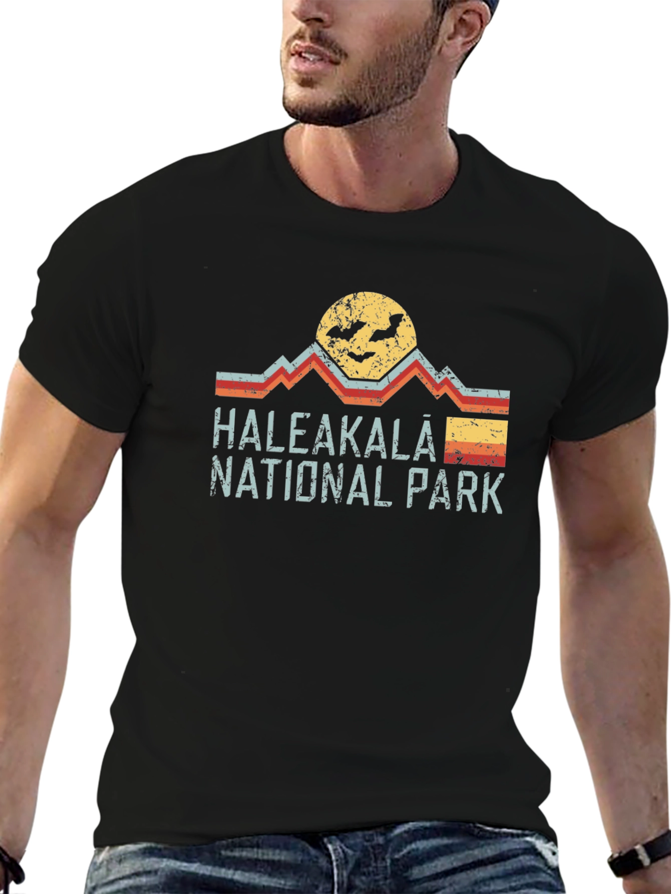 Haleakalā National Park Retro Graphic T-Shirt