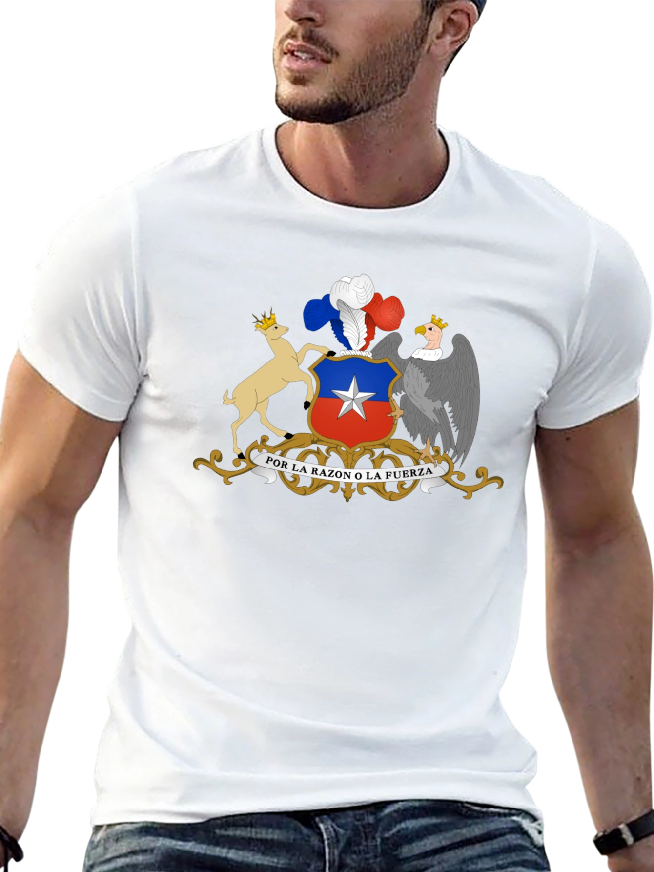 Chile Coat of Arms Black T-Shirt